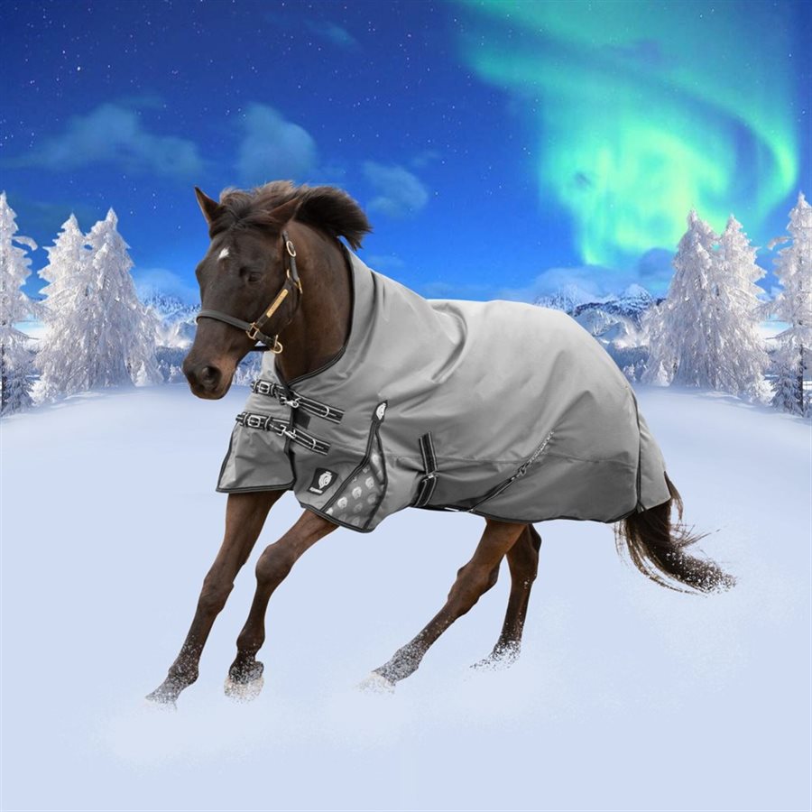 Canadian Horsewear Diablo Turnout Winter Blanket Burgundy 17050 - Tower  Tack & Western Wear
